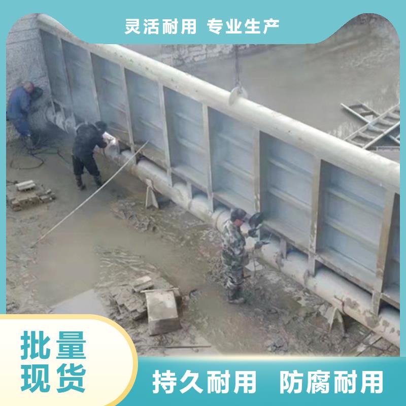 自控式液压钢坝精益求精厂诚信经营