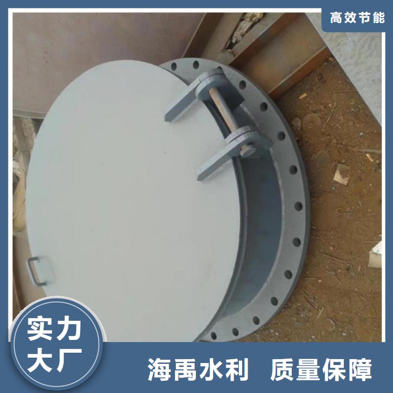 浮箱拍门双向节能侧翻拍门质保一年本地制造商