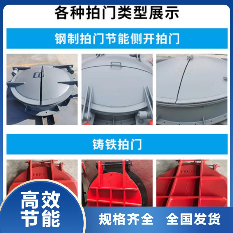 雙開門式拍門雙開門式拍門廠家售后無憂匠心打造