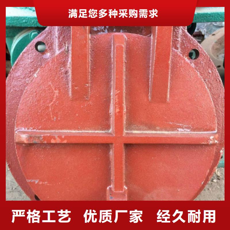 玻璃鋼拍門水利拍門專業設計訂制批發