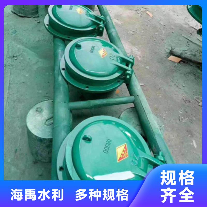 浮箱拍門拍門廠家指導安裝多種規格庫存充足
