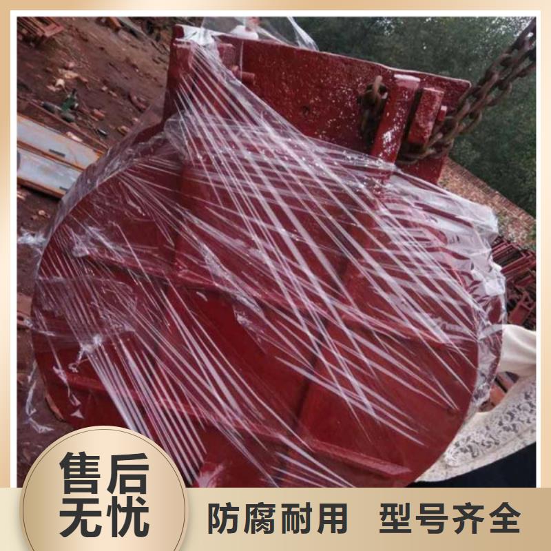 玻璃鋼拍門側開式鋼拍門廠家節能支持大小批量采購