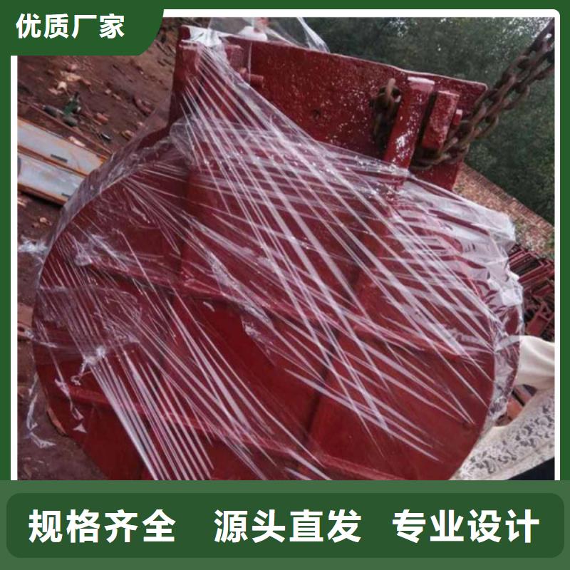 双开门式拍门浮箱拍门厂家质保一年好货采购