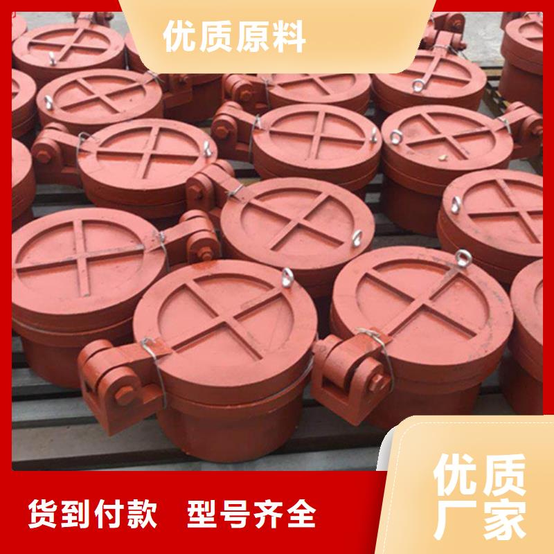雙開(kāi)門(mén)式拍門(mén)側(cè)開(kāi)式拍門(mén)廠家優(yōu)質(zhì)廠家本地服務(wù)商