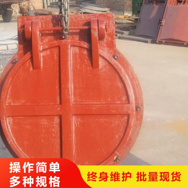 ?玻璃鋼拍門側開式拍門廠家經久耐用準時交付