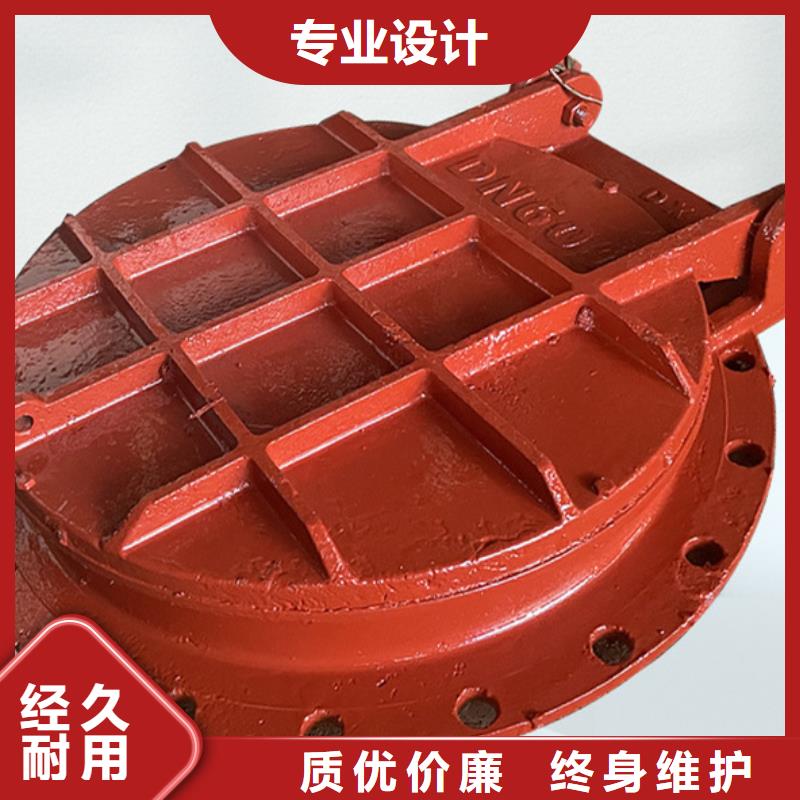 雙開門式拍門pe拍門專業生產現貨銷售