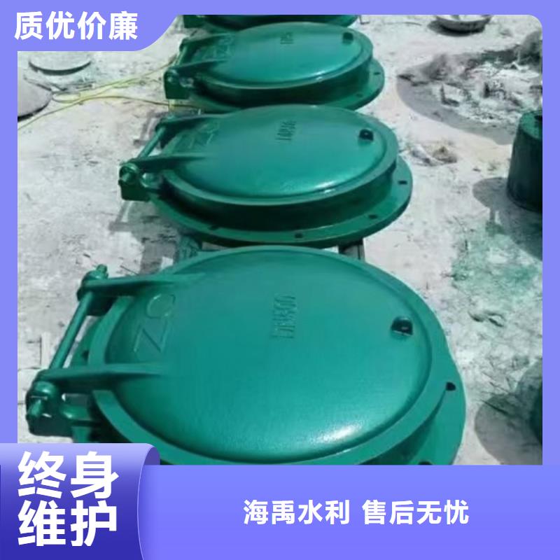 双开门式拍门侧开式拍门厂家经久耐用当地厂家