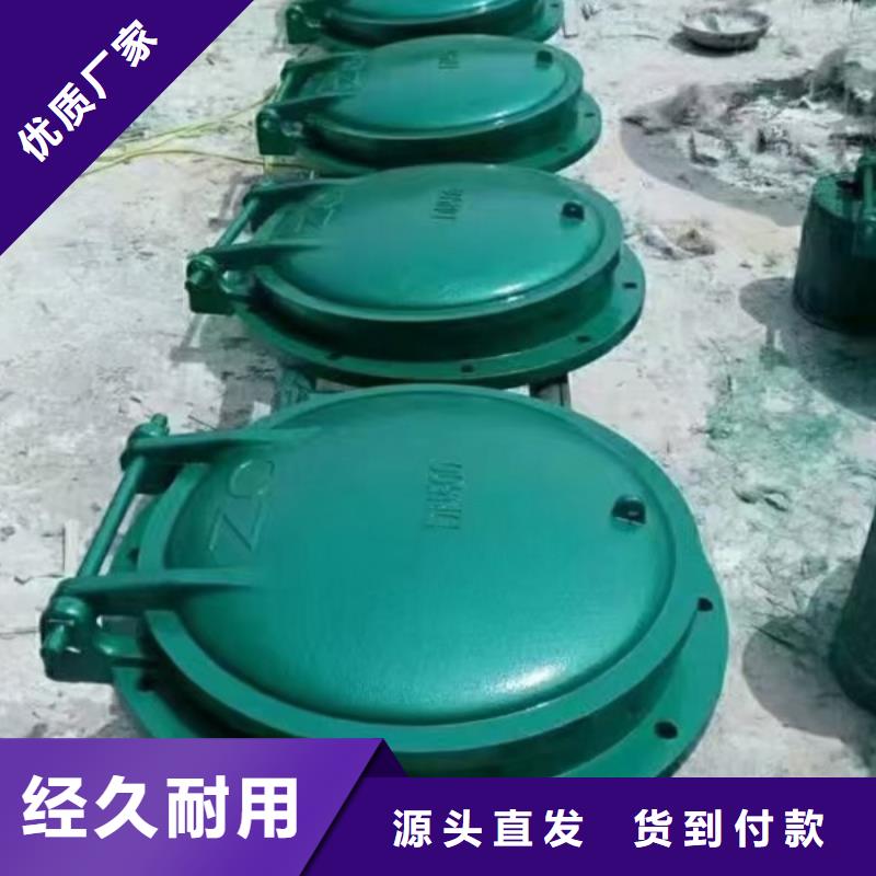 拍门单开拍门优质厂家厂家精选