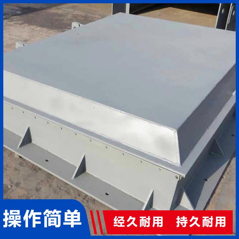 侧开式拍门单开拍门节能当地生产商