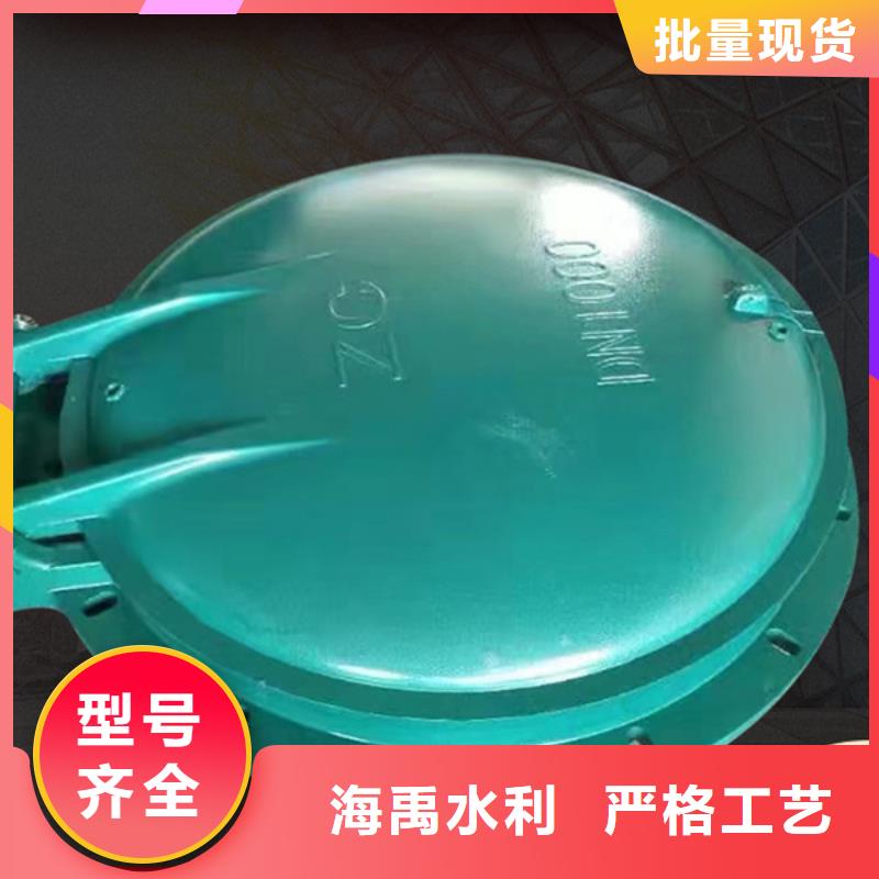 鑄鐵拍門復合材料拍門專業設計本地貨源