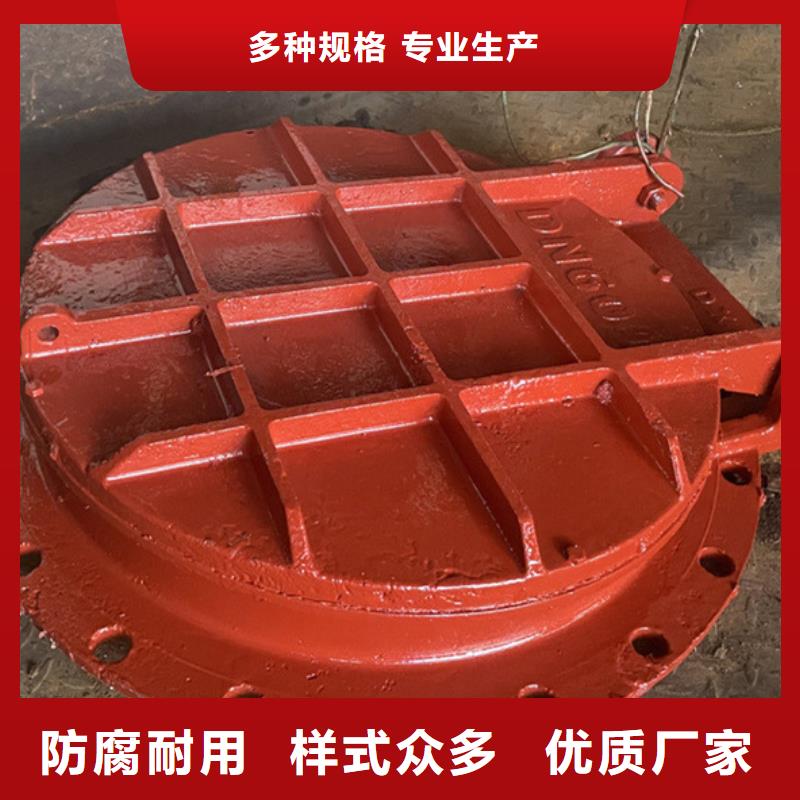 鑄鐵拍門浮箱拍門廠家質(zhì)量保障種類豐富