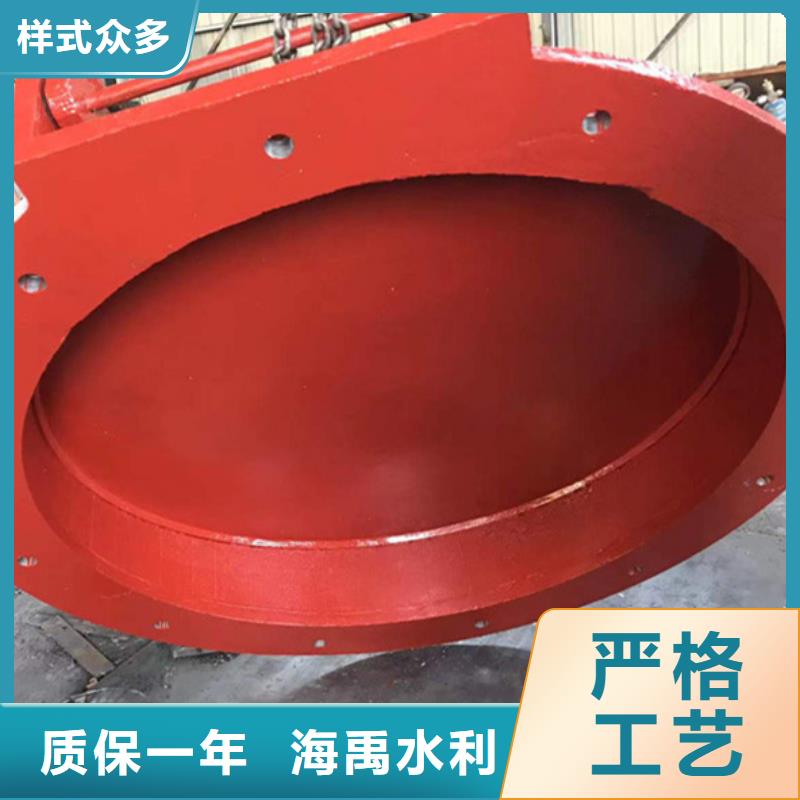 側(cè)開式鋼拍門浮箱拍門廠家源頭直發(fā)同城服務(wù)商