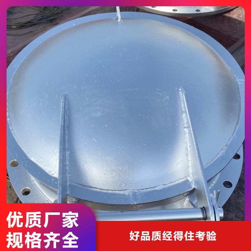 双开门式拍门侧开式拍门厂家批量现货用心做品质