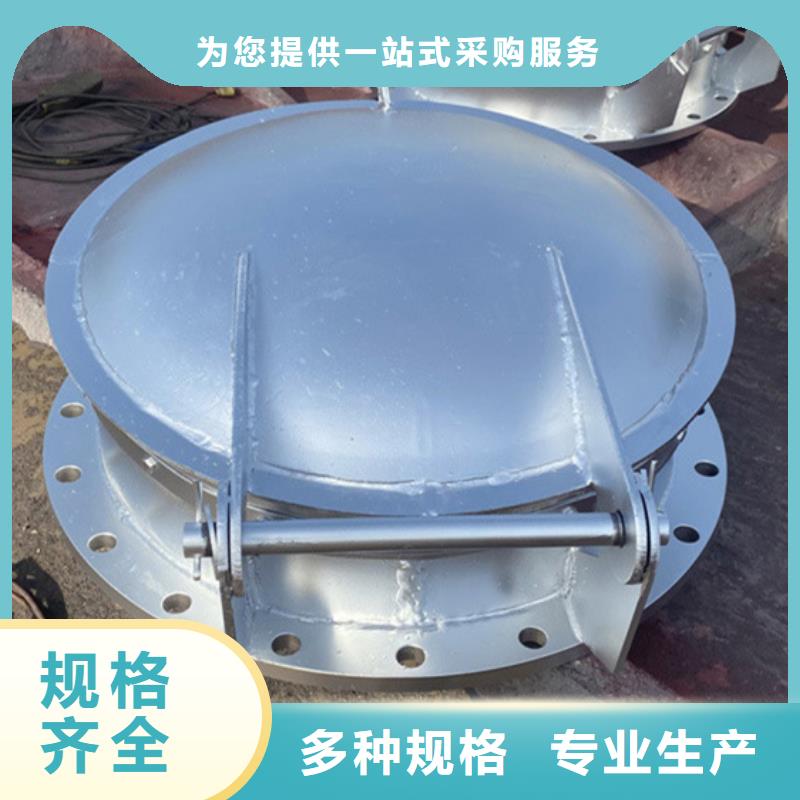拍门钢制拍门厂家多种规格当地生产厂家