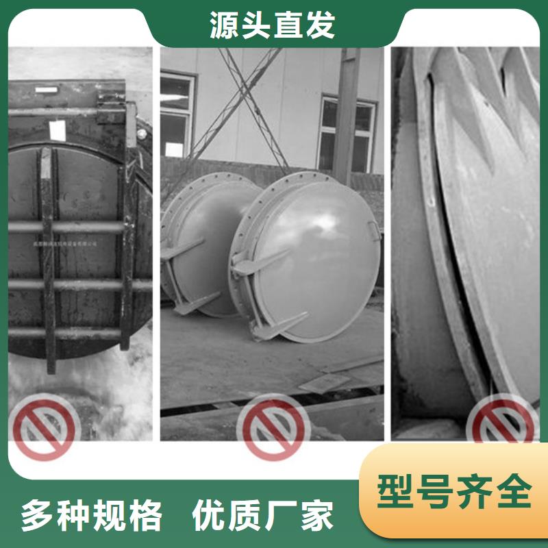 铸铁拍门单开拍门经久耐用定金锁价