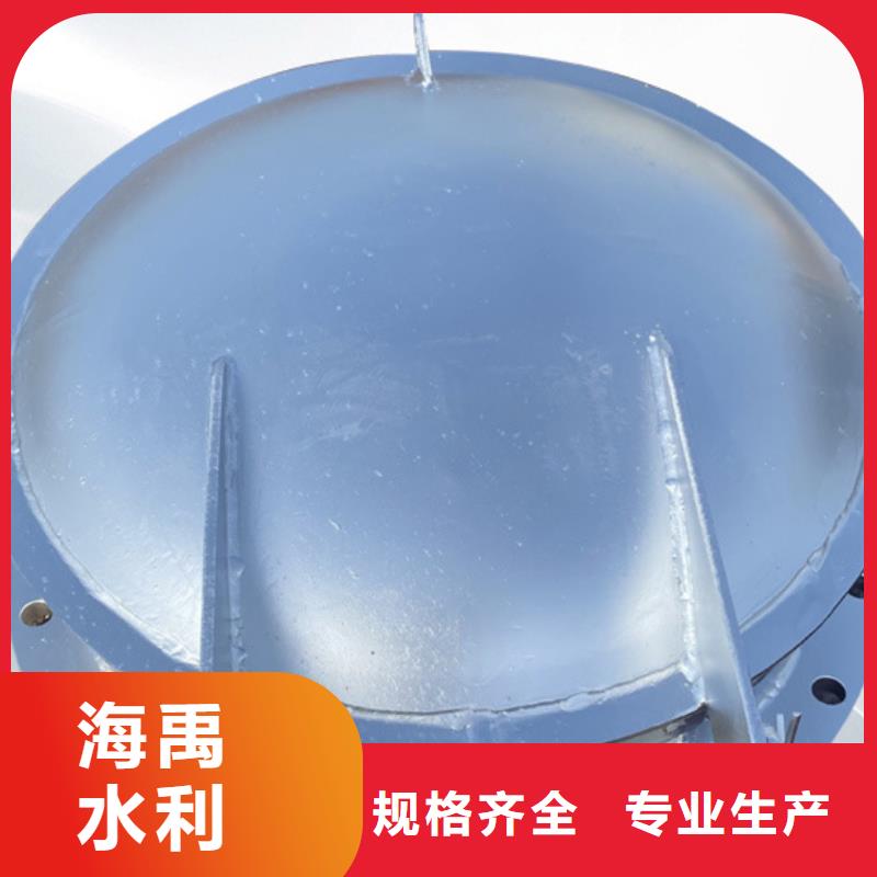 側(cè)開式拍門雙開門式拍門廠家質(zhì)量保障規(guī)格齊全實(shí)力廠家