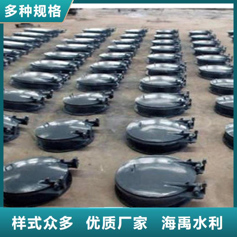 双开门式拍门复合材料拍门厂家灵活耐用本地生产商