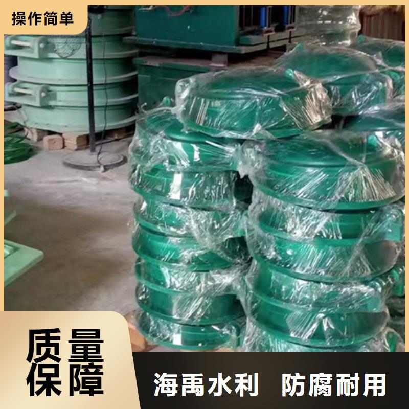 側(cè)開式拍門鋼制拍門廠家質(zhì)保一年當?shù)亟?jīng)銷商