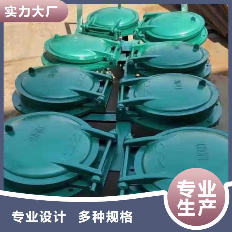 雙開門式拍門hdpe復合材料拍門操作簡單同城制造商