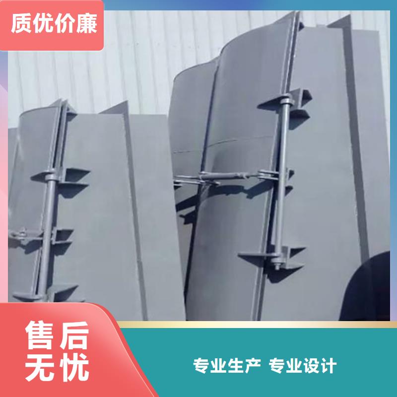 双开门式拍门浮箱拍门厂家终身维护加工定制