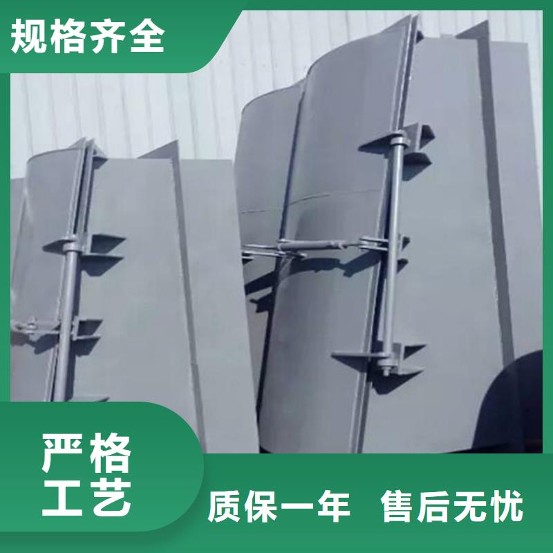 雙開(kāi)門式拍門復(fù)合材料拍門質(zhì)優(yōu)價(jià)廉高品質(zhì)誠(chéng)信廠家