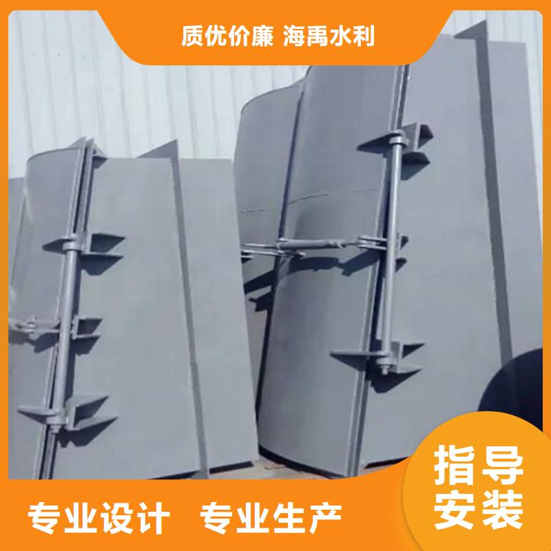 鋼制拍門側(cè)開式鋼拍門廠家專業(yè)設(shè)計(jì)當(dāng)?shù)亟?jīng)銷商