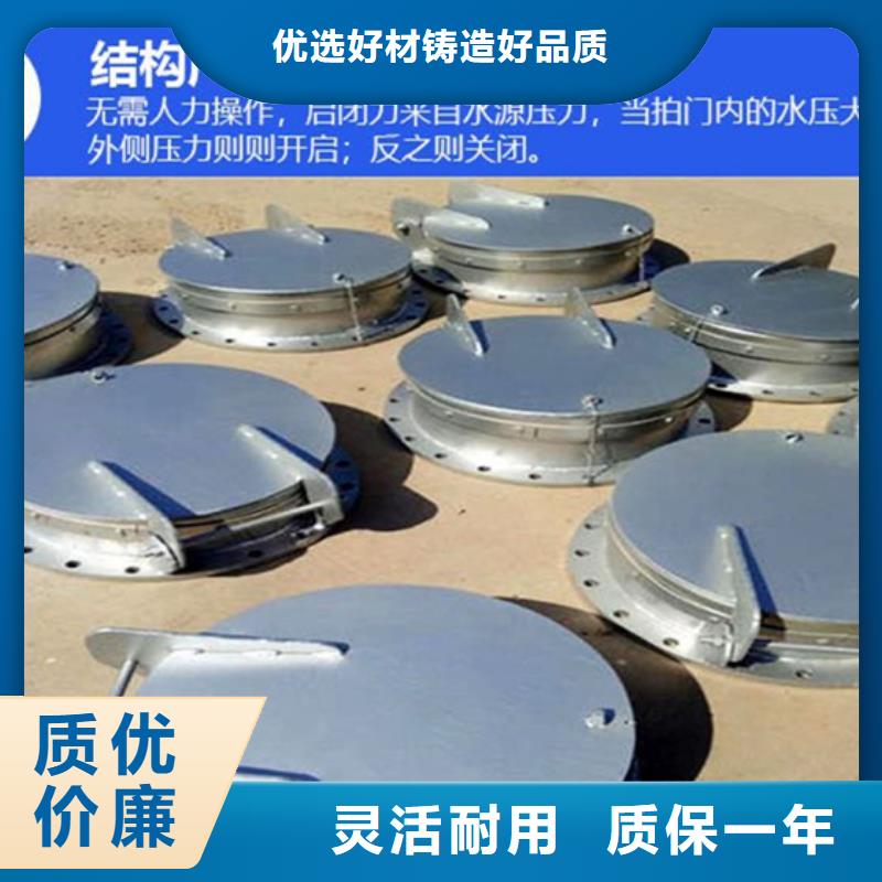 浮箱拍門側(cè)開(kāi)式拍門廠家優(yōu)質(zhì)原料本地貨源