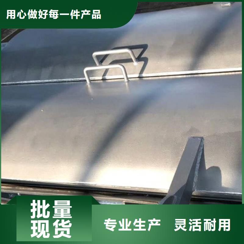側(cè)開式鋼拍門拍門廠家批量現(xiàn)貨當(dāng)?shù)亟?jīng)銷商