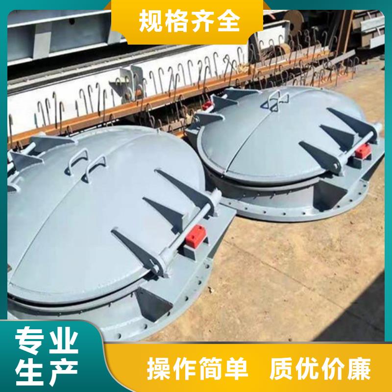 鋼制拍門水利拍門專業(yè)設(shè)計(jì)卓越品質(zhì)保障