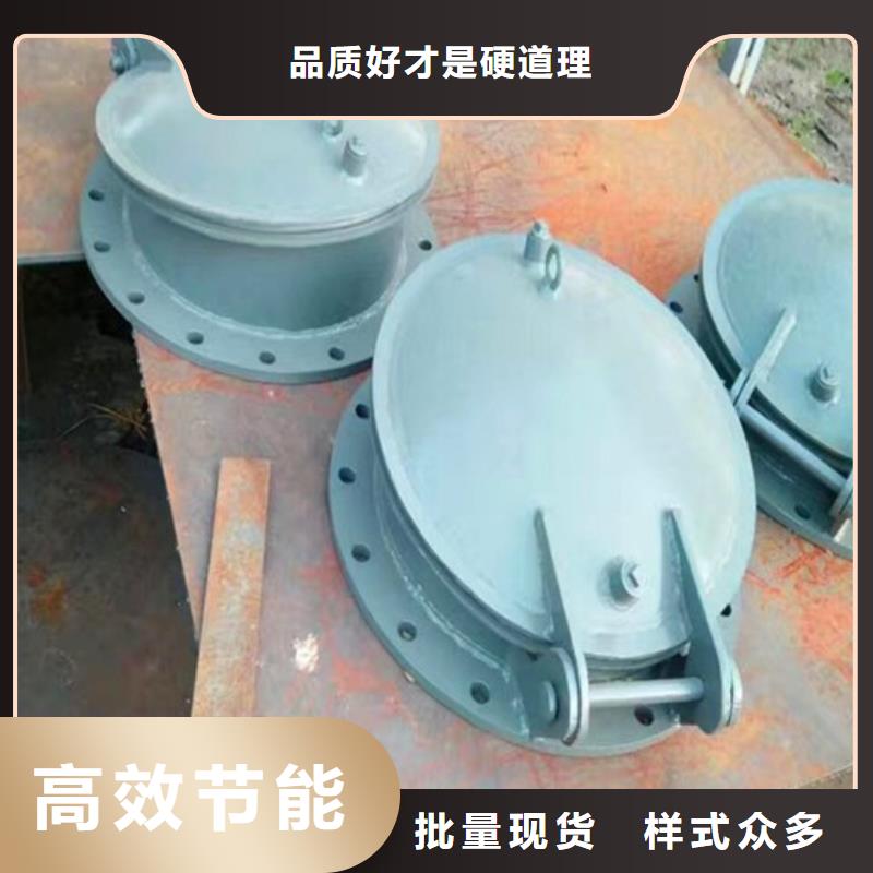 双开门式拍门钢制拍门厂家多种规格当地服务商