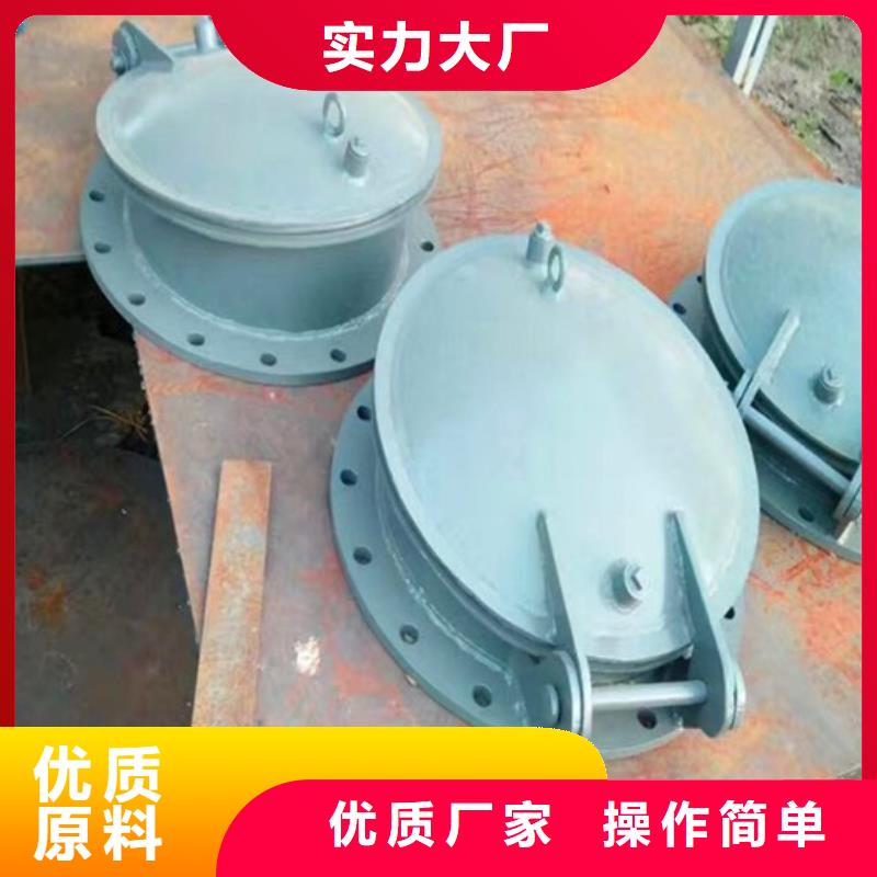 玻璃钢拍门钢制拍门厂家实力大厂让利客户