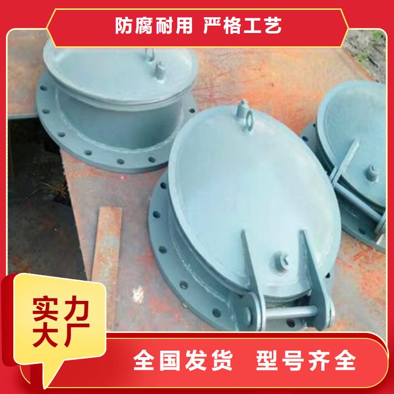鋼制拍門側開式拍門廠家節能按需設計