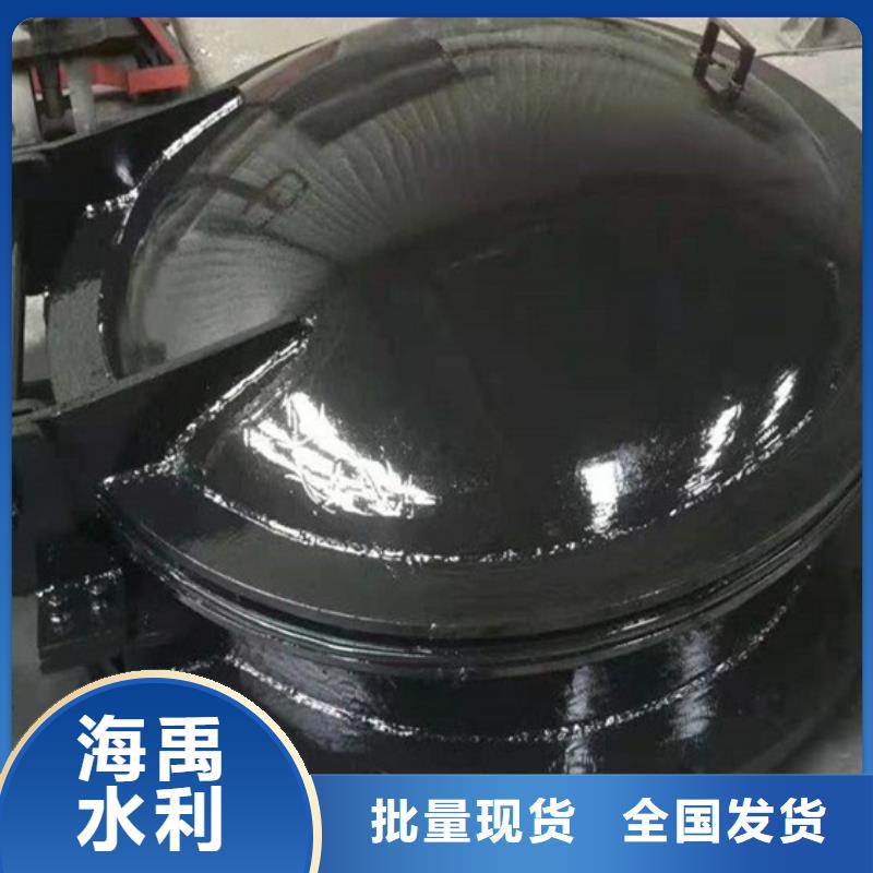 双开门式拍门双向节能侧翻拍门售后无忧甄选好厂家