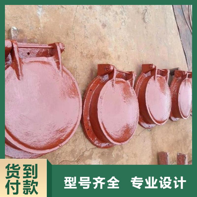 双开门式拍门方形拍门源头直发当地服务商