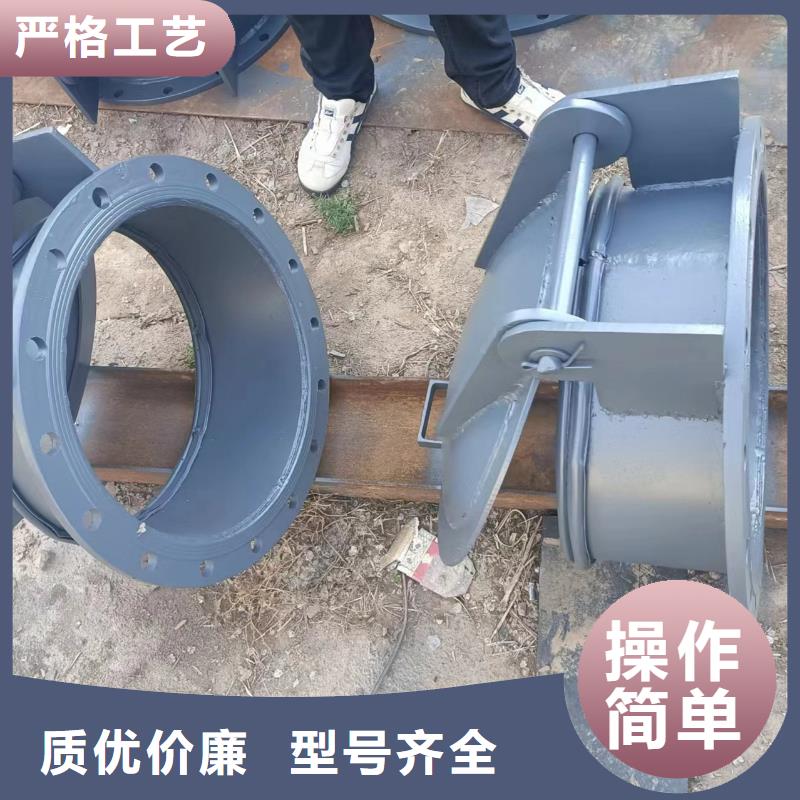 浮箱拍门钢制圆拍门优质厂家厂家售后完善