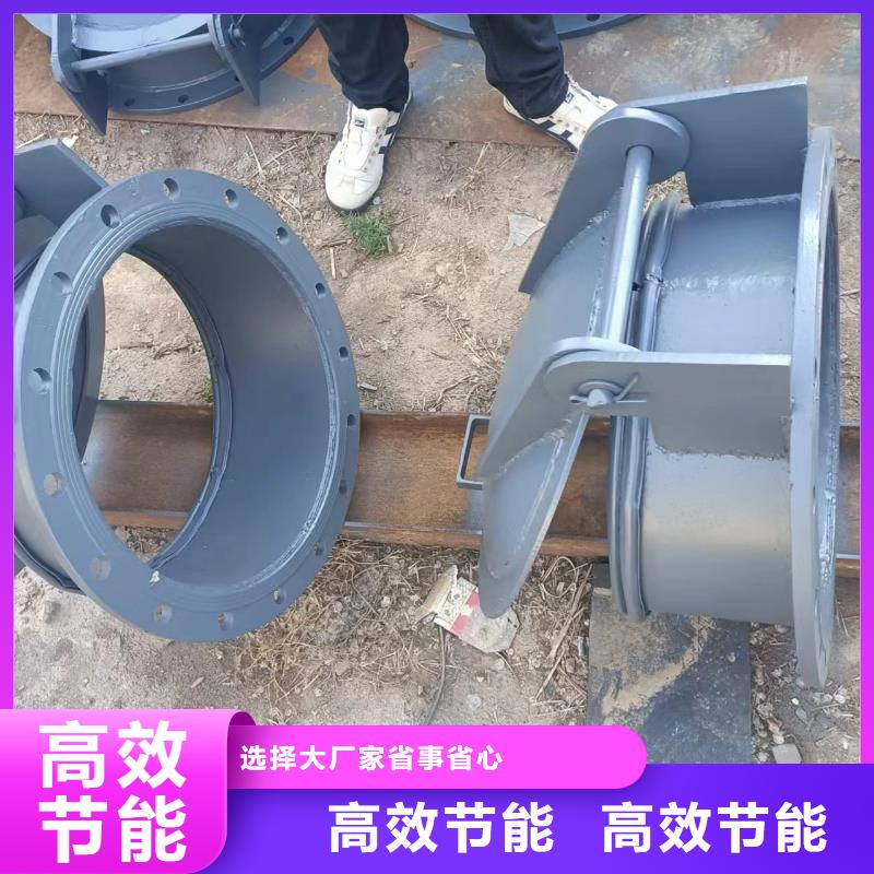 側(cè)開式鋼拍門拍門廠家貨到付款當(dāng)?shù)厣a(chǎn)廠家