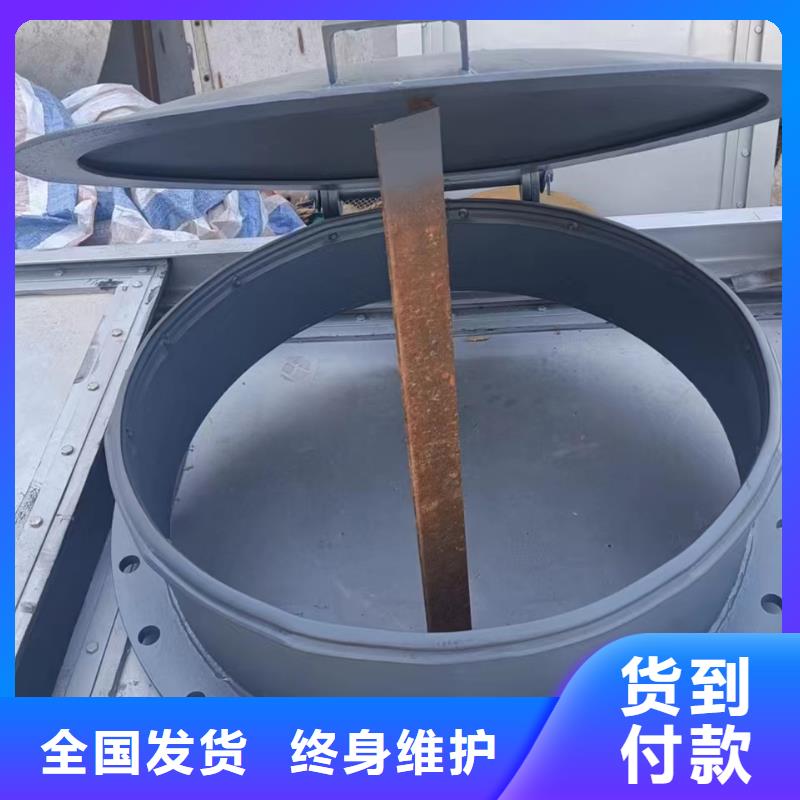 铸铁拍门单开拍门操作简单当地供应商