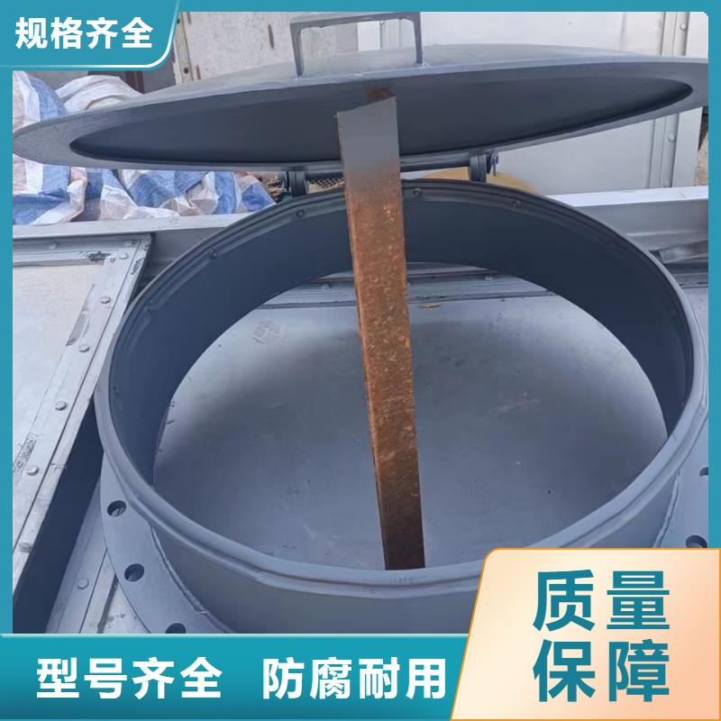 鋼制拍門hdpe復合材料拍門型號齊全品質卓越