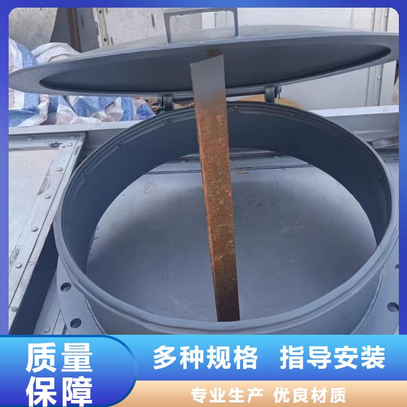 浮箱拍門節(jié)能型拍門專業(yè)設(shè)計(jì)大量現(xiàn)貨供應(yīng)
