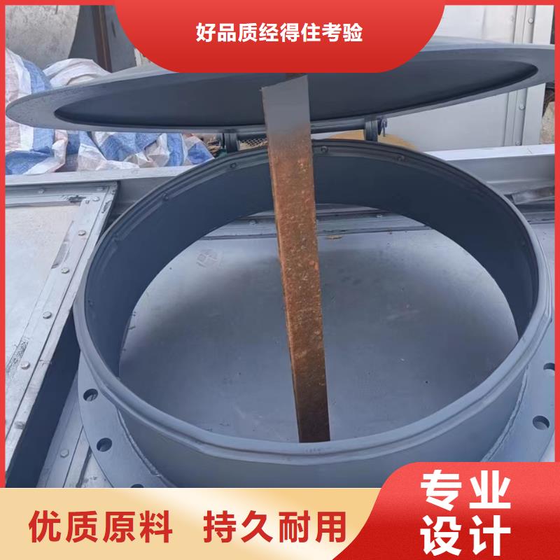 浮箱拍門玻璃鋼拍門廠家批量現(xiàn)貨可定制