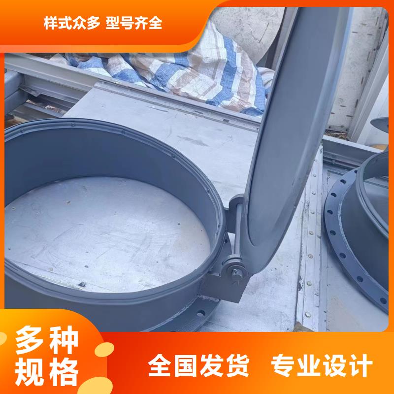 双开门式拍门hdpe复合材料拍门专业设计可放心采购