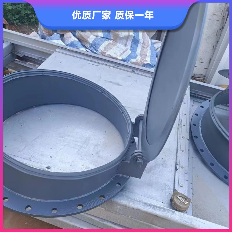 浮箱拍門復合材料拍門廠家專業生產本地服務商