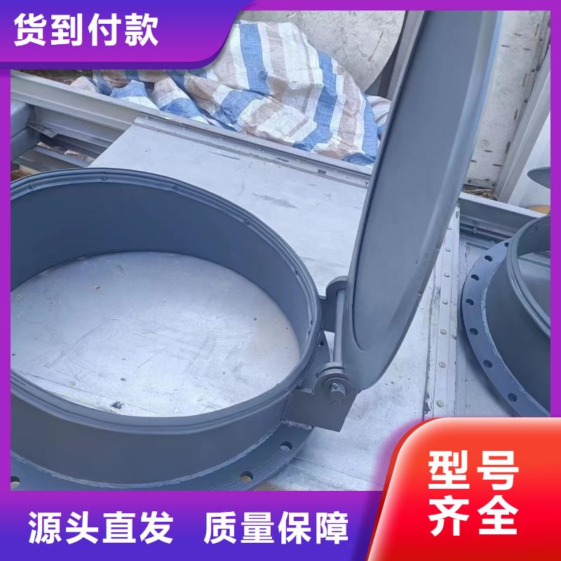 浮箱拍门钢制拍门厂家节能当地供应商