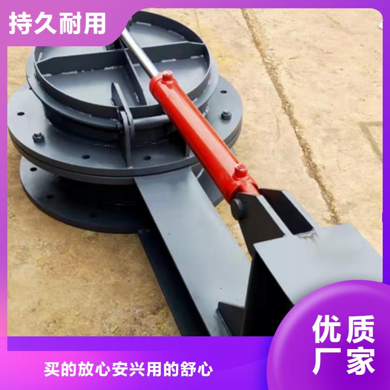 雙開門式拍門復(fù)合材料拍門廠家規(guī)格齊全貨真價實
