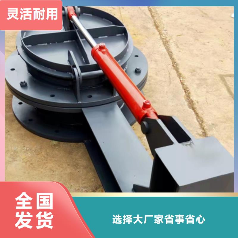 雙開門式拍門水利拍門優質廠家同城廠家