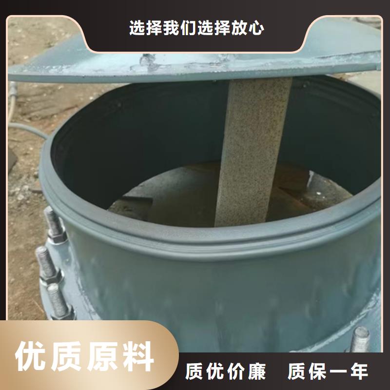 鑄鐵拍門雙向節(jié)能側(cè)翻拍門專業(yè)生產(chǎn)多年廠家可靠