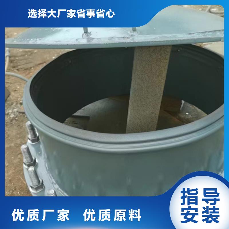 双开门式拍门钢制拍门厂家售后无忧当地公司