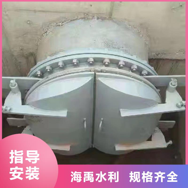 雙開門式拍門雙開門式拍門廠家質量保障顏色尺寸款式定制