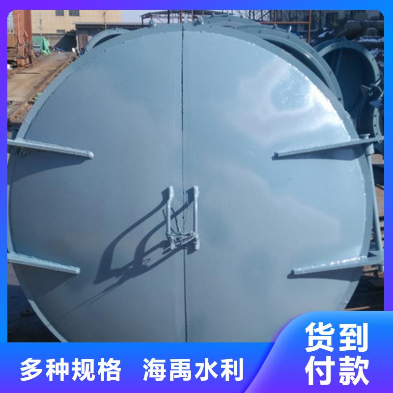 浮箱拍門鑄鐵拍門廠家質量保障實體廠家