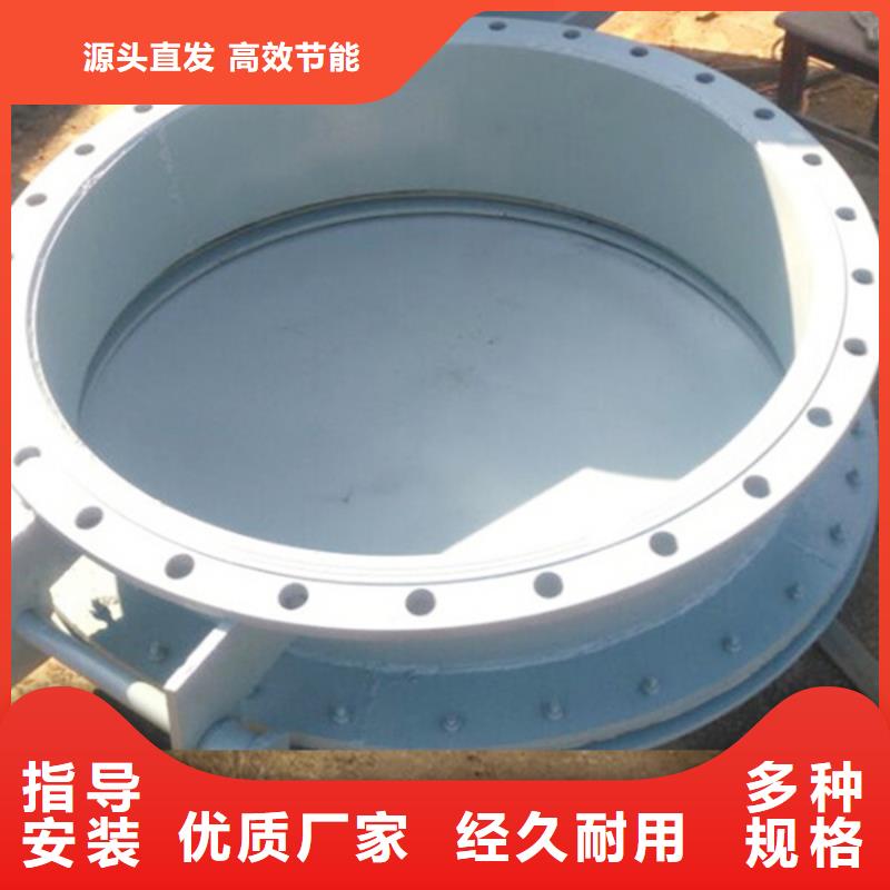 双开门式拍门侧开式拍门厂家源头直发追求细节品质